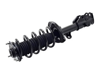 Suspension Strut and Coil Spring Assembly