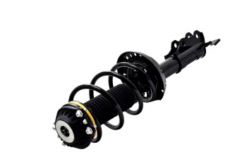 Suspension Strut and Coil Spring Assembly