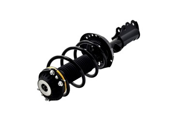 Suspension Strut and Coil Spring Assembly