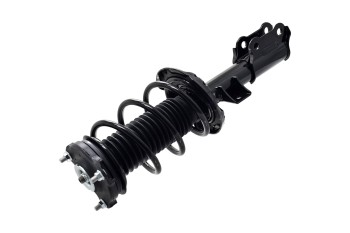 Suspension Strut and Coil Spring Assembly