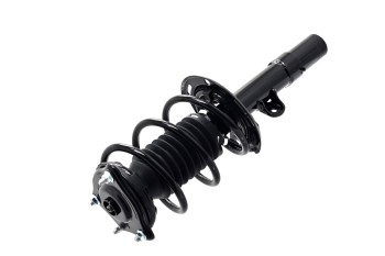 Suspension Strut and Coil Spring Assembly