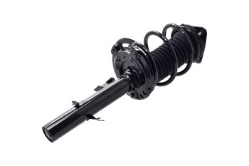 Suspension Strut and Coil Spring Assembly