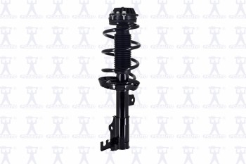 Suspension Strut and Coil Spring Assembly