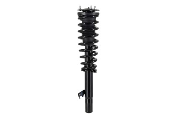 Suspension Strut and Coil Spring Assembly
