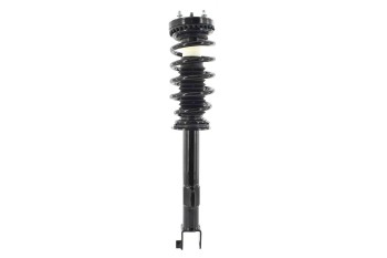 Suspension Strut and Coil Spring Assembly
