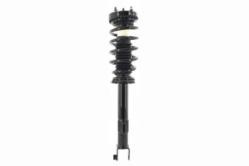 Suspension Strut and Coil Spring Assembly