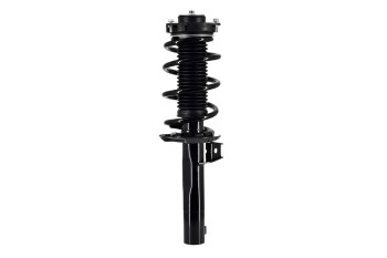Suspension Strut and Coil Spring Assembly