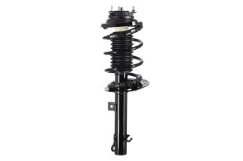 Suspension Strut and Coil Spring Assembly