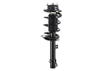 Suspension Strut and Coil Spring Assembly