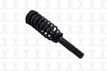 Suspension Strut and Coil Spring Assembly