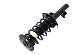 Suspension Strut and Coil Spring Assembly