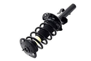 Suspension Strut and Coil Spring Assembly