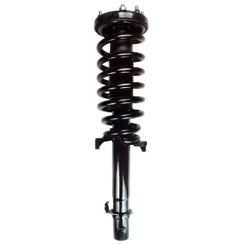 Suspension Strut and Coil Spring Assembly