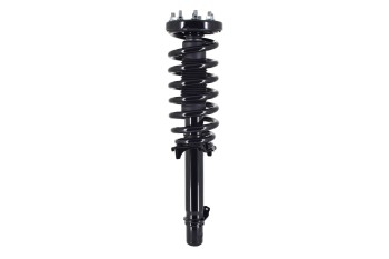 Suspension Strut and Coil Spring Assembly