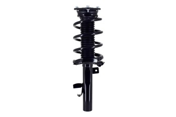 Suspension Strut and Coil Spring Assembly