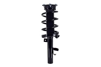 Suspension Strut and Coil Spring Assembly