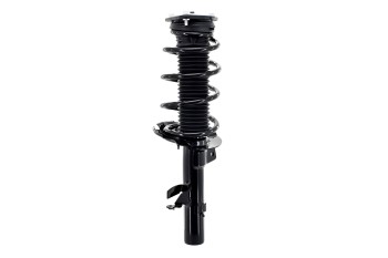 Suspension Strut and Coil Spring Assembly