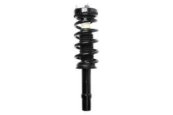 Suspension Strut and Coil Spring Assembly