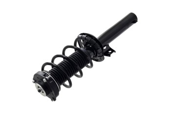 Suspension Strut and Coil Spring Assembly