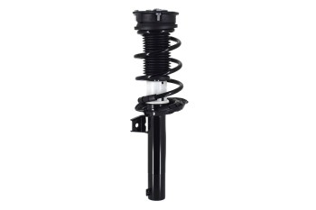Suspension Strut and Coil Spring Assembly