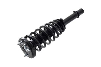 Suspension Strut and Coil Spring Assembly