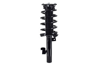 Suspension Strut and Coil Spring Assembly