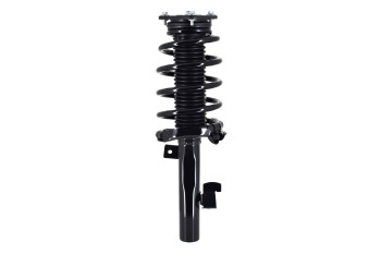 Suspension Strut and Coil Spring Assembly