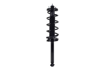 Suspension Strut and Coil Spring Assembly