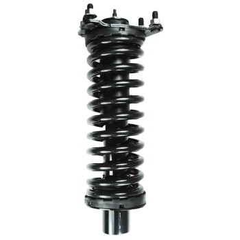 Suspension Strut and Coil Spring Assembly