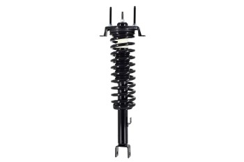 Suspension Strut and Coil Spring Assembly