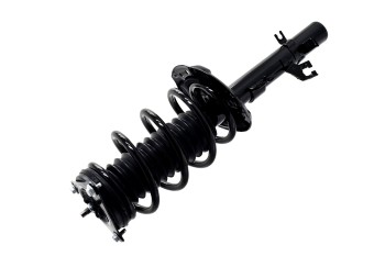 Suspension Strut and Coil Spring Assembly