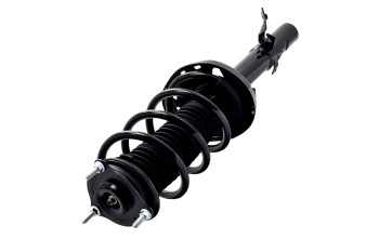 Suspension Strut and Coil Spring Assembly