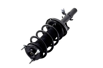 Suspension Strut and Coil Spring Assembly