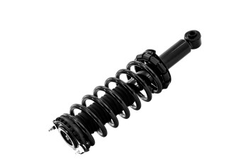 Suspension Strut and Coil Spring Assembly