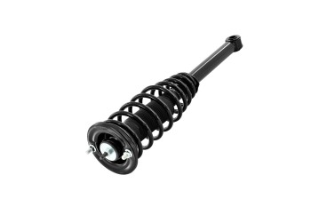 Suspension Strut and Coil Spring Assembly