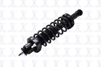 Suspension Strut and Coil Spring Assembly
