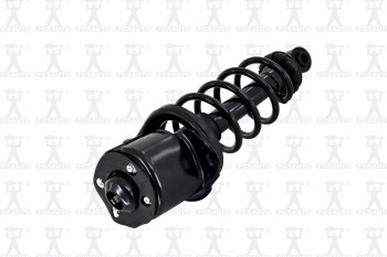 Suspension Strut and Coil Spring Assembly