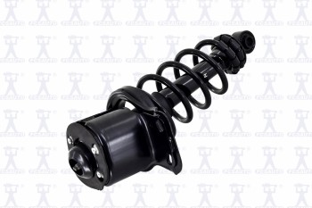 Suspension Strut and Coil Spring Assembly
