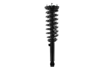 Suspension Strut and Coil Spring Assembly