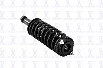 Suspension Strut and Coil Spring Assembly