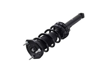 Suspension Strut and Coil Spring Assembly