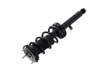 Suspension Strut and Coil Spring Assembly