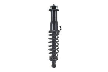 Suspension Strut and Coil Spring Assembly
