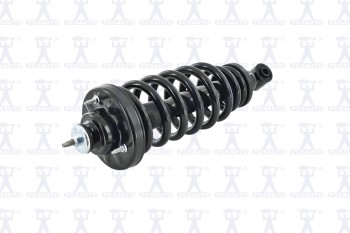 Suspension Strut and Coil Spring Assembly