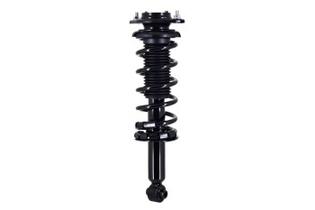 Suspension Strut and Coil Spring Assembly