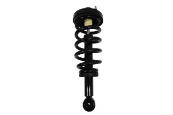 Suspension Strut and Coil Spring Assembly