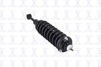 Suspension Strut and Coil Spring Assembly