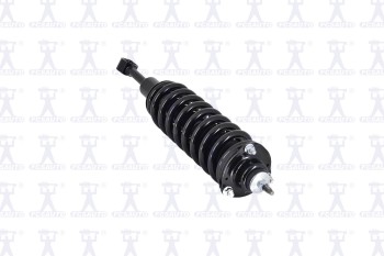 Suspension Strut and Coil Spring Assembly