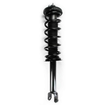 Suspension Strut and Coil Spring Assembly