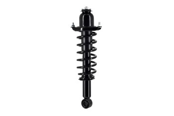 Suspension Strut and Coil Spring Assembly